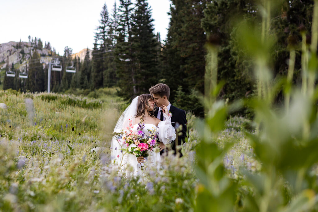 Albion basin