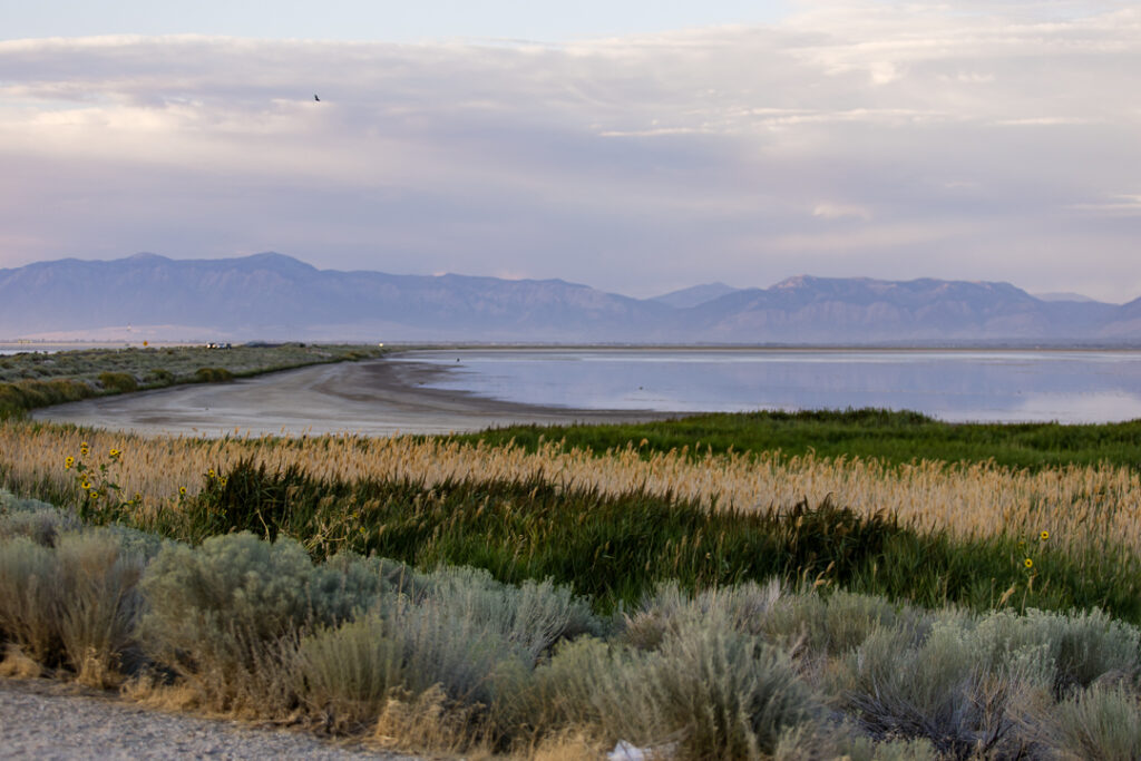 Antelope island state park 1 2