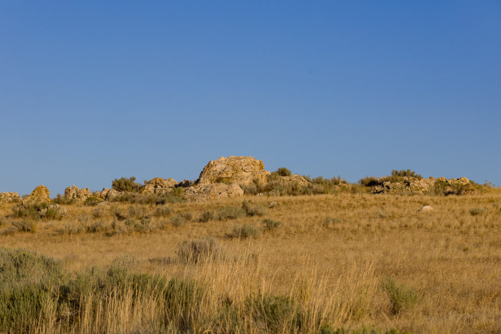Antelope island state park 1 3